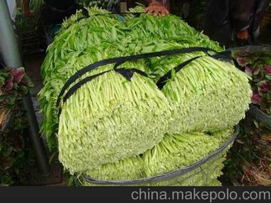 产品:食堂承包,蔬菜配送,粮油配送,食堂管理,餐饮管理,伙食承包,工厂